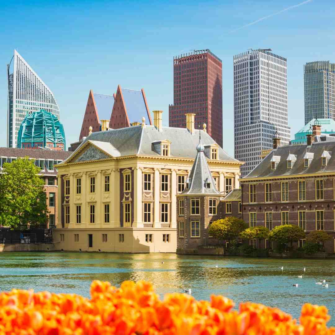 Najpopularniejsze miasta na studia w Holandii Najpopularniejsze miasta na studia w Holandii