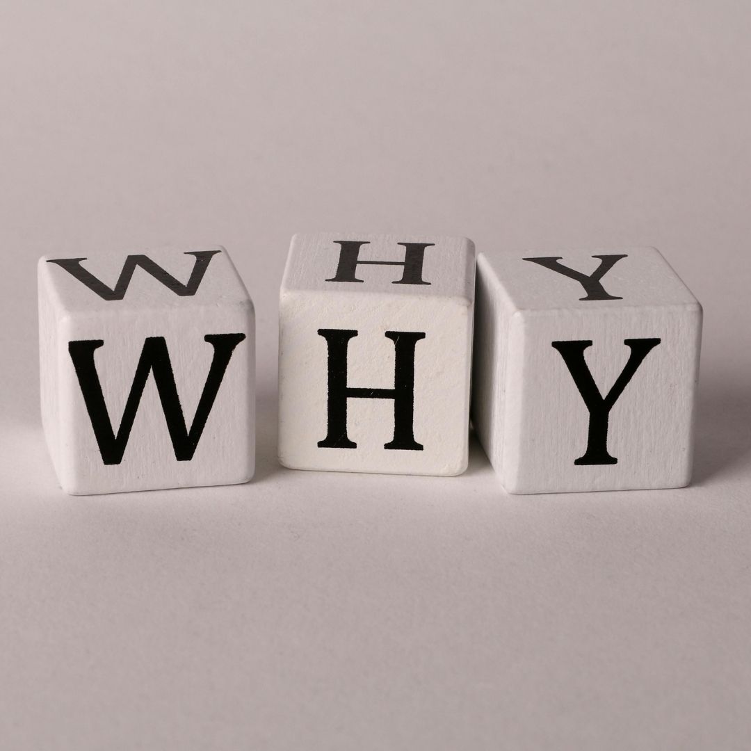 Dlaczego warto studiować architekturę w Holandii?