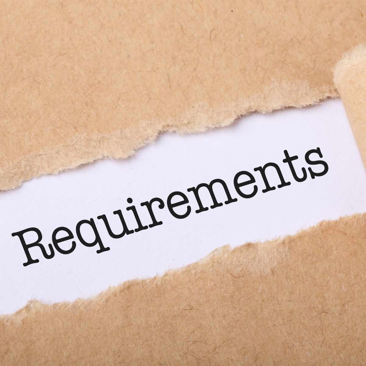 Studia w Holandii – wymagania, dokumenty i kwalifikacje